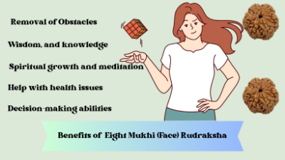 Benefits of Rudraksha :  Eight Mukhi (Face) Rudraksha